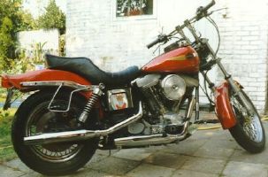 Ducktail-2