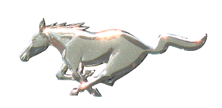 Run Pony Run!