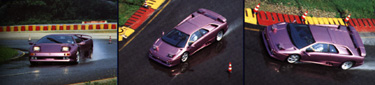 Purple Lamborghini Diablo