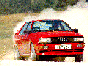 Ur-quattro 81-91