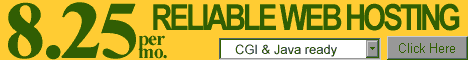 Reliable Web Hosting - CGI + Java - $8.25/mo.