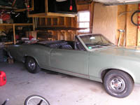 poor ol'l GTO