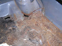 rotten trunk