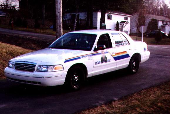 /user/cruiser2.JPG