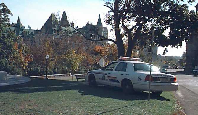 /user/rcmp31.jpg
