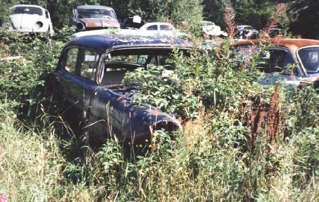 [Chevrolet 1955]
