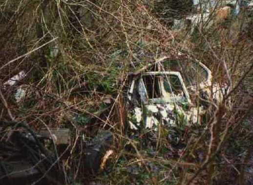 [Fiat 850]