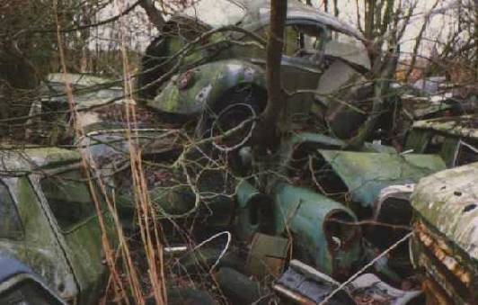 K�fer im 2. Stock