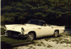 oth0002.gif (145039 bytes)