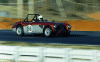 oth0005.gif (119930 bytes)