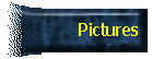 Picture Gallery
