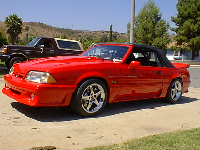 IMAGE007.jpg (91300 bytes)