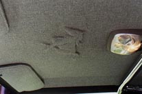 A running horse embossed in the headliner