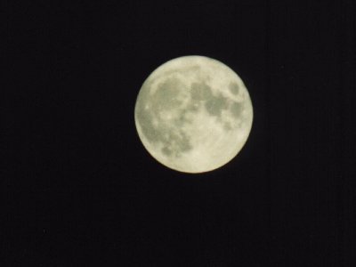 The Moon
