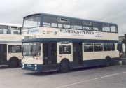 Drn174ythmb.jpg