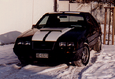 Mustang