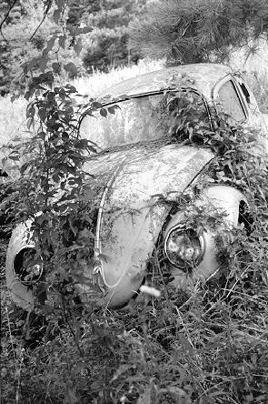 THERE ARE NO UGLY VWs!