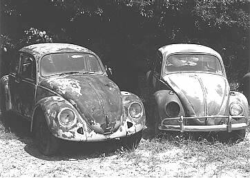 There are no ugly VWs!