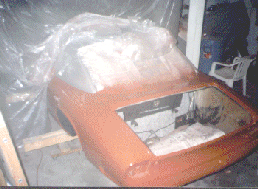trunk-paint.gif 