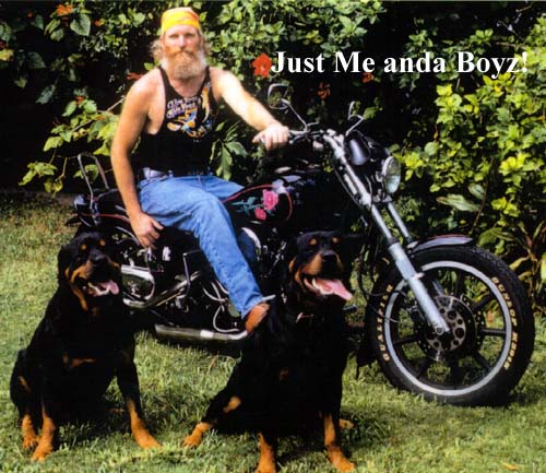 m-meboyz.JPG 59.9 K