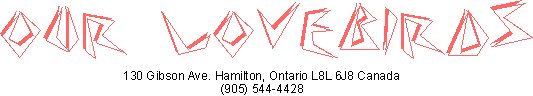 Footer name and address