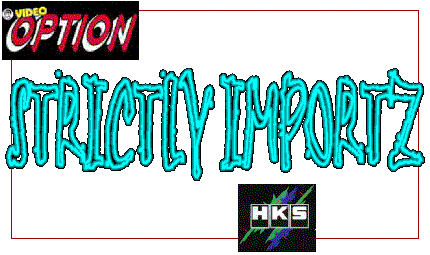 strictlyimportz.gif (73420 bytes)