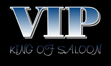 viplogo.jpg (14862 bytes)