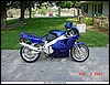 FZR102.jpg
