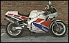 leo-fzr1000.jpg