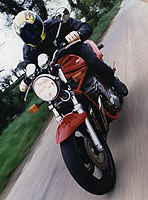 Some Bandit fotos...
