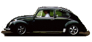 Bug.gif (5962 bytes)