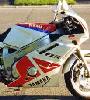 [Anik's 1991 FZR600R]