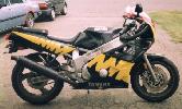 [1989 FZR600R Tiger Stripe]