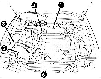 Inside a DSM hood