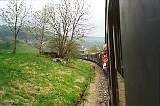 BlackForest010.jpg