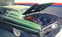 72_impala_01.jpg