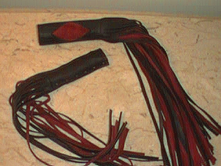 grip2.jpg (88068 bytes)