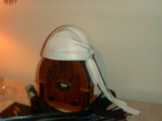 whitebandana1.jpg (67427 bytes)