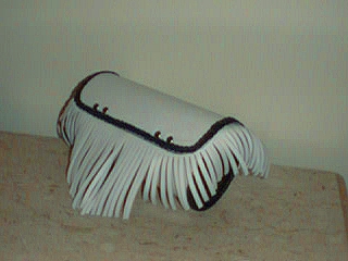 whitetoolbag.jpg (69324 bytes)