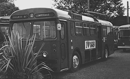 picture of no. 80
