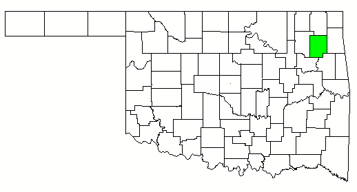 State Map with county that Locust Grove is found in