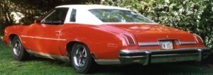 74 Luxury LeMANS Side Rear