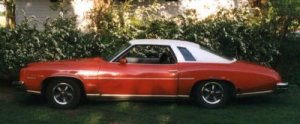 74 Luxury LeMANS Side