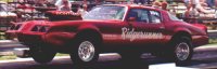 Steves 78 Trans Am