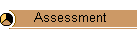 Assessment