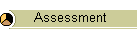 Assessment