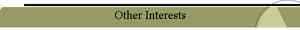 Other Interests