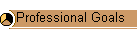 Professional Goals
