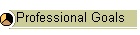 Professional Goals