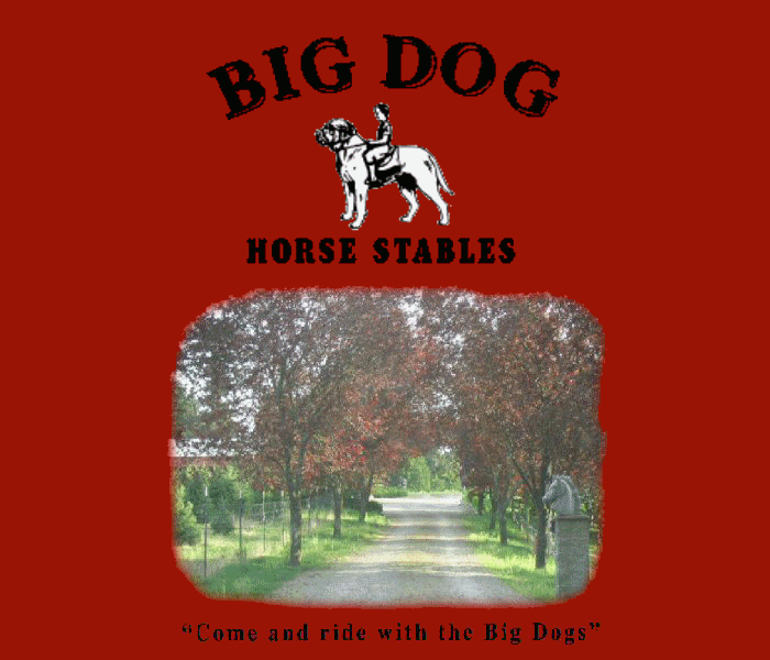 Big Dog Horse Stables